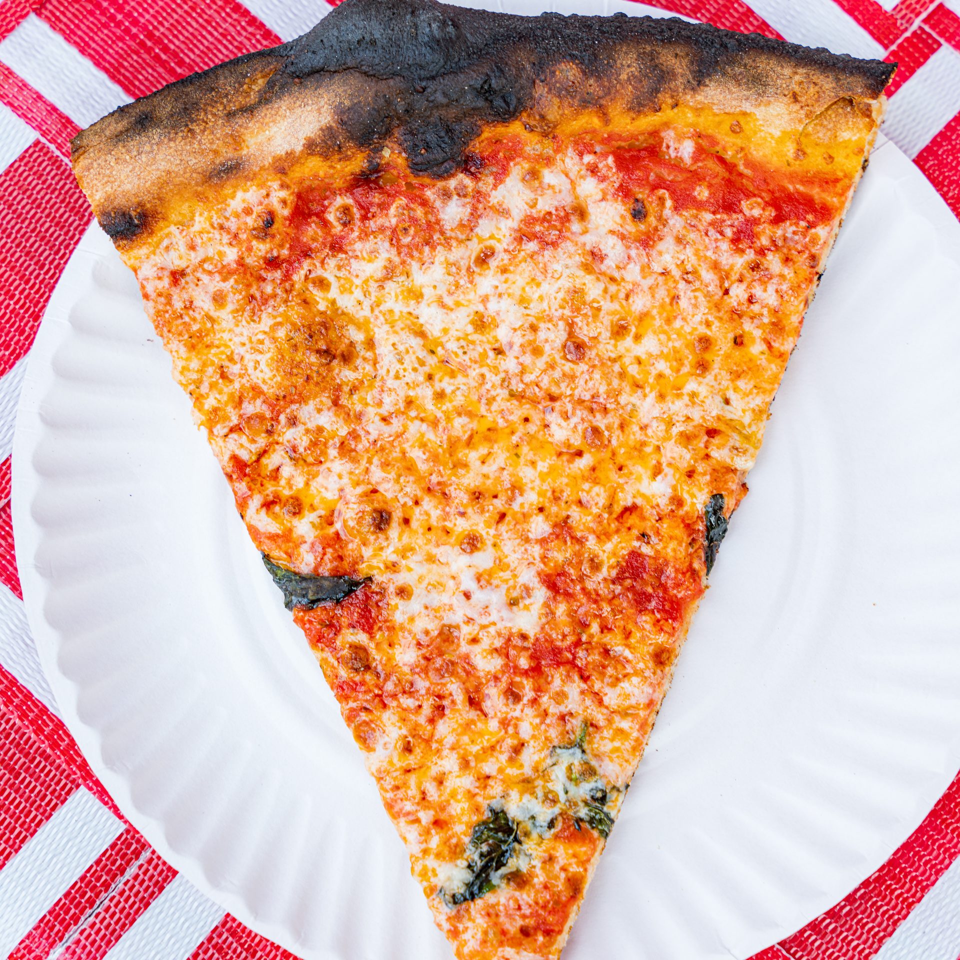 Slices. Pies. Three Locations. Lunch. Dinner. Late Night.
